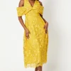 Bardot Panel Lace Midi Dress