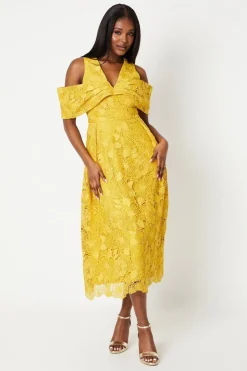 Bardot Panel Lace Midi Dress
