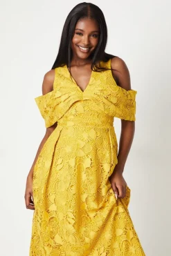 Bardot Panel Lace Midi Dress