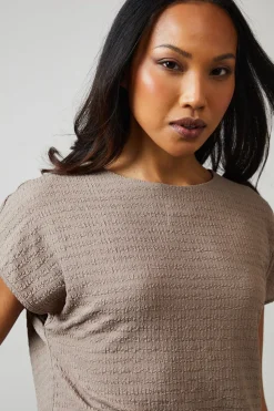Brown Textured Jersey T -Shirt