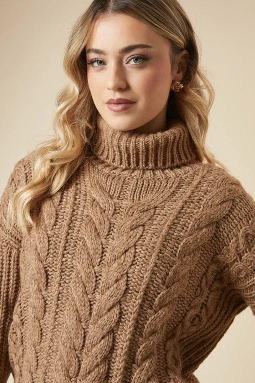 Chunky Cable Knit Roll Neck High Low Hem Jumper