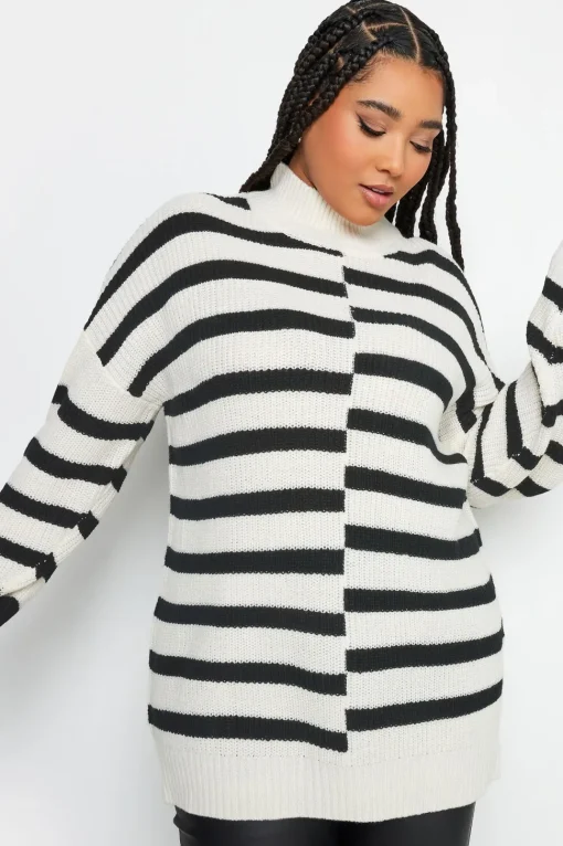 Contrast Stripe Turtle Neck Jumper