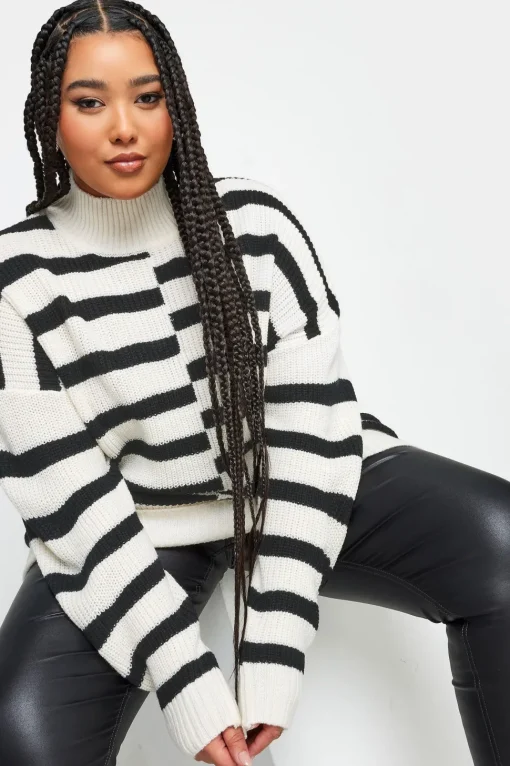 Contrast Stripe Turtle Neck Jumper