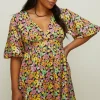 Curve Ditsy Floral Scuba Skater Dress