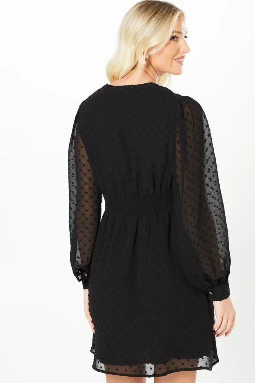 Dobby Chiffon Long Sleeve Shirred Waist Mini Dress