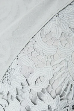 Drape Overlay Lace Pencil Dress