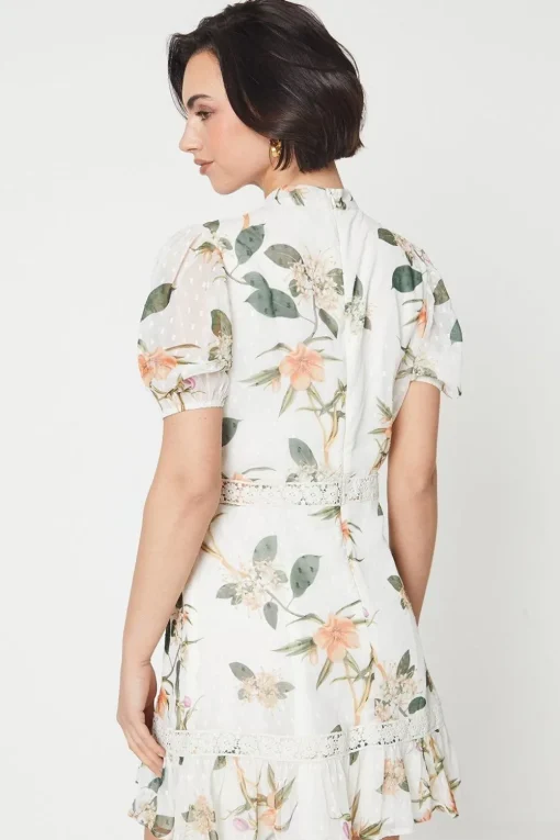 Floral Dobby Chiffon Lace Trim Mini Dress