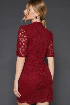 Lace High Neck Short Sleeve Mini Dress