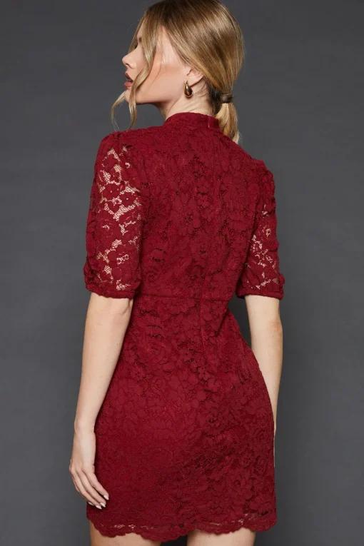 Lace High Neck Short Sleeve Mini Dress