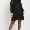 Lace Scallop Hem Mini Dress