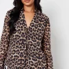 Leopard Print Chiffon Tie Front Blouse
