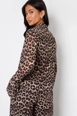 Leopard Print Chiffon Tie Front Blouse