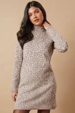 Leopard Print Mini Dress