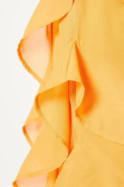 Mega Ruffle Chiffon Maxi Dress