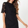 Occasion Corded Lace Shift Dress