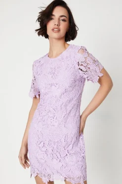 Occasion Lace Short Sleeve Mini Dress