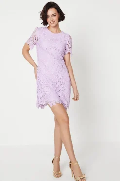 Occasion Lace Short Sleeve Mini Dress