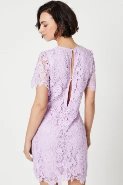 Occasion Lace Short Sleeve Mini Dress