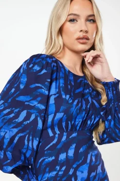 Petite Blue Zebra Shirred Hem Long Sleeve Blouse