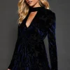 Petite Floral Devore Keyhole Mini Dress