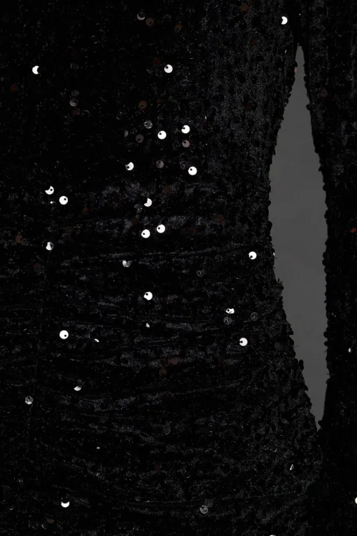 Petite Ruched Velvet Sequin Mini Dress