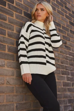 Petite Stripe Turtle Neck Jumper
