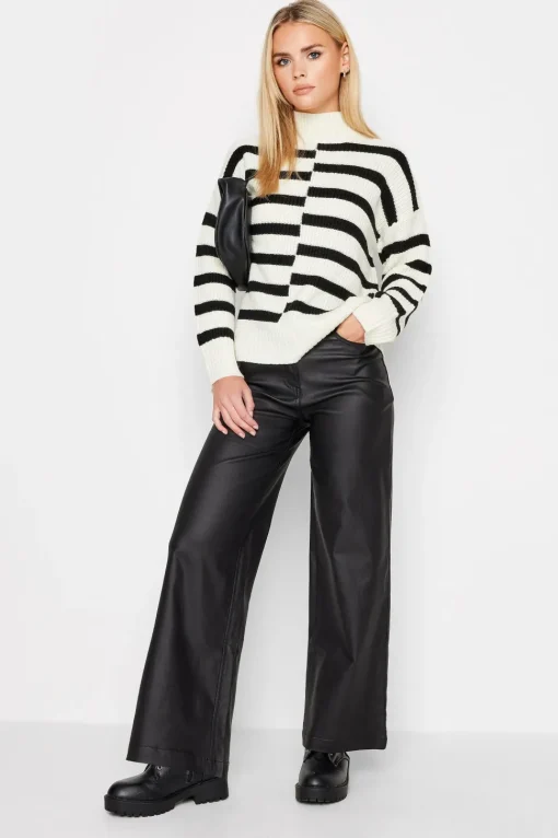 Petite Stripe Turtle Neck Jumper