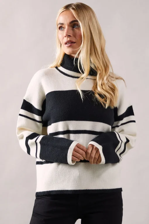 Petite Striped Colour Block Roll Neck Jumper