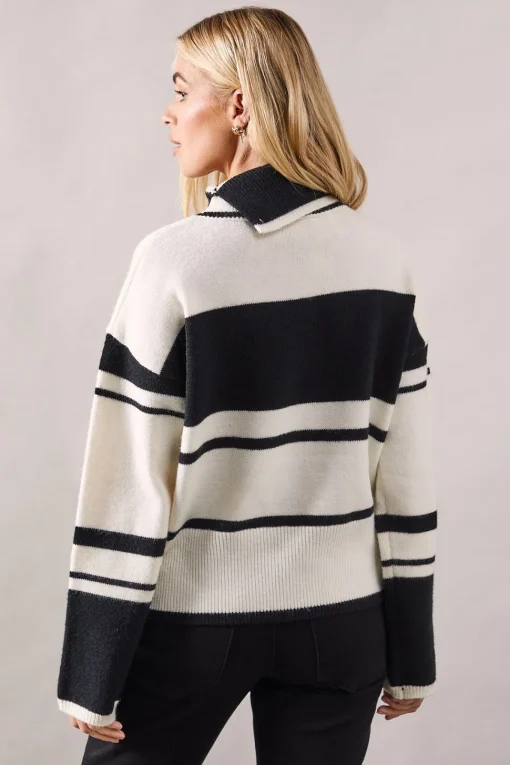 Petite Striped Colour Block Roll Neck Jumper