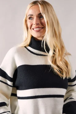 Petite Striped Colour Block Roll Neck Jumper
