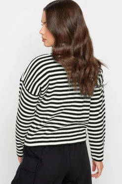 Petite Turtleneck Jumper
