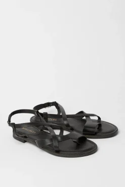Principles: Bonnie Toe Loop Flat Sandals