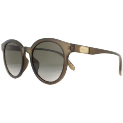 Round Polished Translucent Brown Brown Gradient Sunglasses