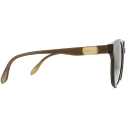 Round Polished Translucent Brown Brown Gradient Sunglasses