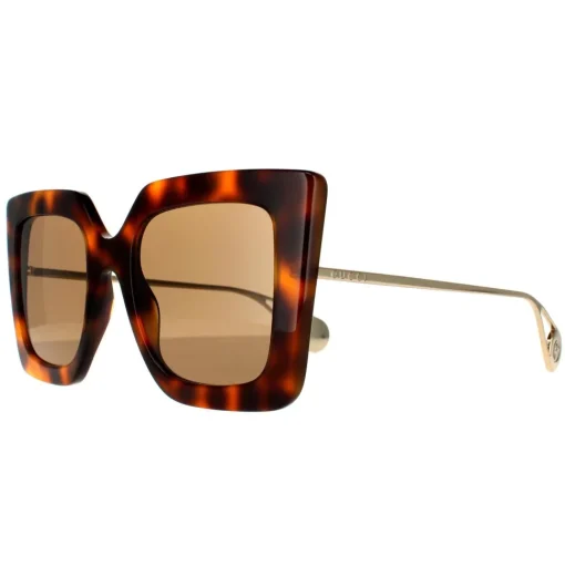 Square Havana and Gold Brown Sunglasses