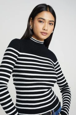 Stripe Rib Turtleneck Jumper