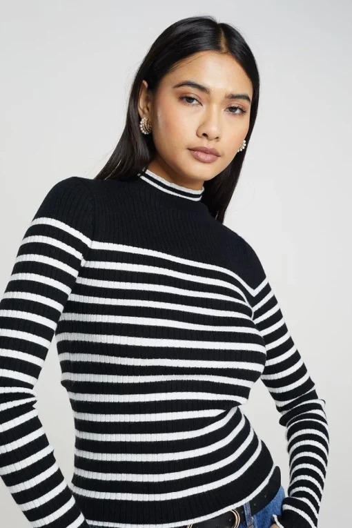 Stripe Rib Turtleneck Jumper