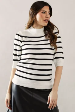 Striped Puff Sleeve Fine Gauge Knitted Top