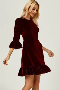 Velvet Frill Detail Mini Dress In Wine