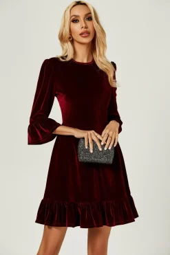 Velvet Frill Detail Mini Dress In Wine