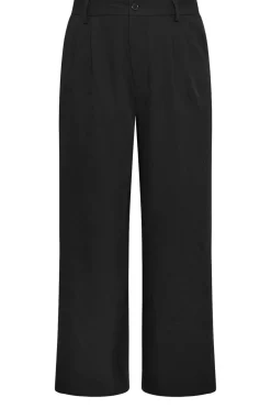 Wide Leg Pleat Front Trousers