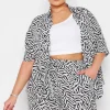 Zebra Print Crinkle Shorts